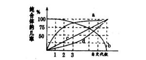 純合體