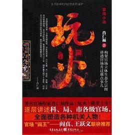 官場小說：玩火