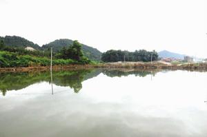 馬湖村[浙江省杭州市濱江區西興街道馬湖村]