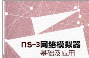 NS3