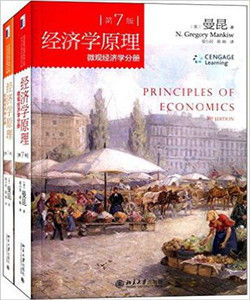 經濟學原理:總量經濟學分冊