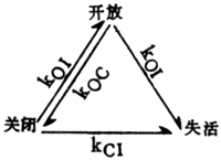 生物膜離子通道