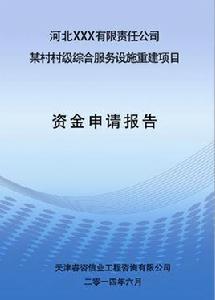 項目資金申請報告