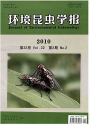 現刊