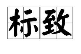 標緻[漢語詞語]