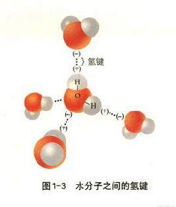 分子間氫鍵