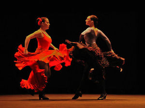 flamenco