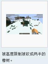 生物群系[遊戲minecraft中的生物部落]