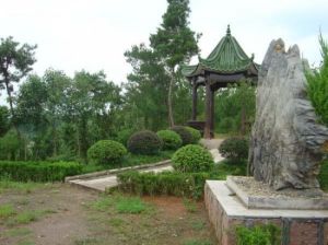 黃山植物大觀園