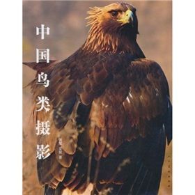 《中國鳥類攝影》