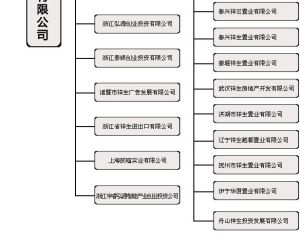 祥生實業集團有限公司