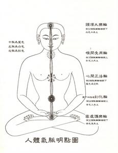 《中國自然特異功》