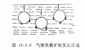 可浮選性