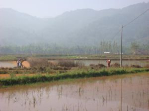 曼那窩村