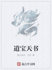 道寶天書