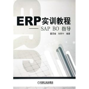 ERP實訓教程——SAP BO指導