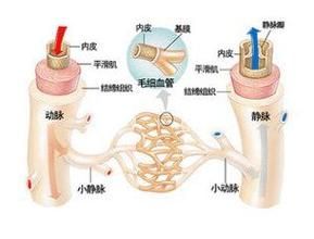 毛細血管出血