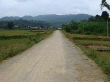 曼邁村[雲南省西雙版納州勐海縣勐阿鎮曼邁村]