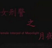 女刑警之月夜