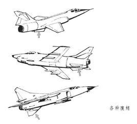 飛機腹鰭