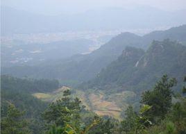 中塅村[江西省修水縣水源鄉下轄村]