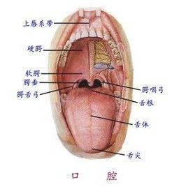 口腔內科學