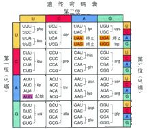 基因密碼錶