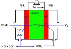 熔融碳酸鹽燃料電池