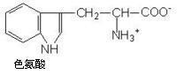 色氨酸