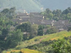 羅馬果村 羅馬果村