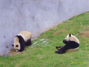 總投資4.5億元，新動物園堪稱華東之最