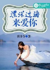 漂洋過海來愛你[若初文學網小說]