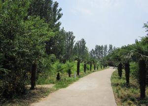 禹州森林植物園