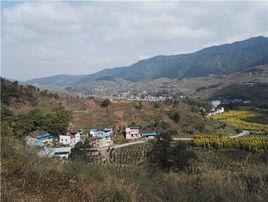 東升村[廣東省廣州市花都區赤坭鎮東升村]