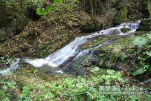 森林 瀑布 風景 山水 溪水 山峰 南夢溪