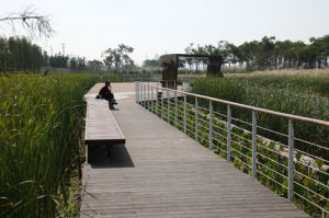 後灘公園