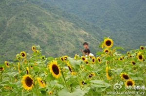 篁嶺四季花谷