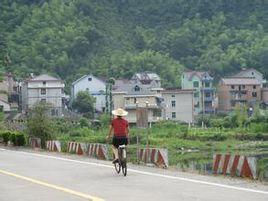 新關村[浙江省杭州市富陽區大源鎮下轄村]