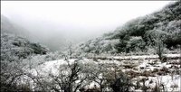 雪寶山——國家級森林公園