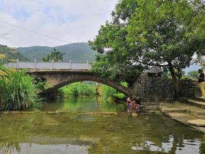 大雅村[湖北黃石市陽新縣富池鎮大雅村]