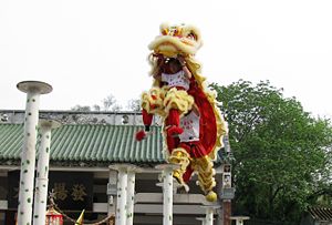 Lion dance