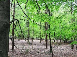 高費呂韋國家公園