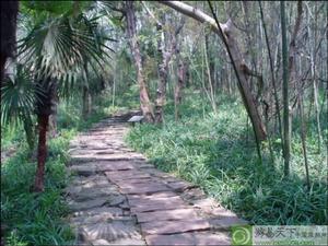 九龍山國家森林公園