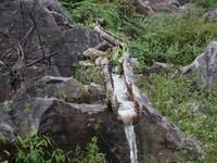 維地保村飲用水狀況
