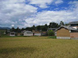 當甸村[雲南省紅河彌勒縣彌陽鎮當甸村]