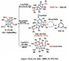 高分子降解