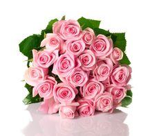 高清21朵粉玫瑰