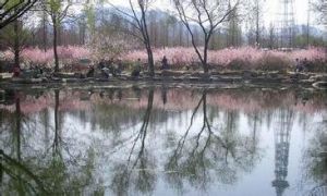 神洲生態樂園