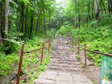 帽兒山[黑龍江帽兒山國家森林公園]