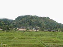 大壩自然村[雲南昭通彝良縣洛澤河鎮嶺東村委大壩自然村]